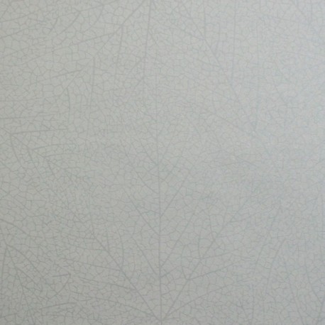 Superfresco Kia Beige Wallpaper