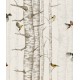 Birch Trees Grey