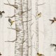 Birch Trees Grey